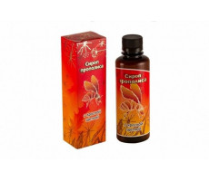 СИРОП ПРОПОЛИСА С КРАСНОЙ ЩЕТКОЙ 100МЛ. /ХОРСТ/