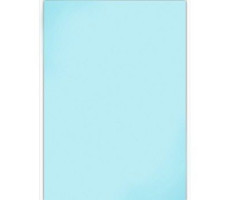 ВИТОША КЛЕЕНКА ДЕТ. ПОДКЛАДНАЯ ПВХ 0,48Х0,68 СВЕТЛО-ГОЛ. /АРТ.9233/